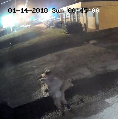 Graffiti artist Graffiti artist